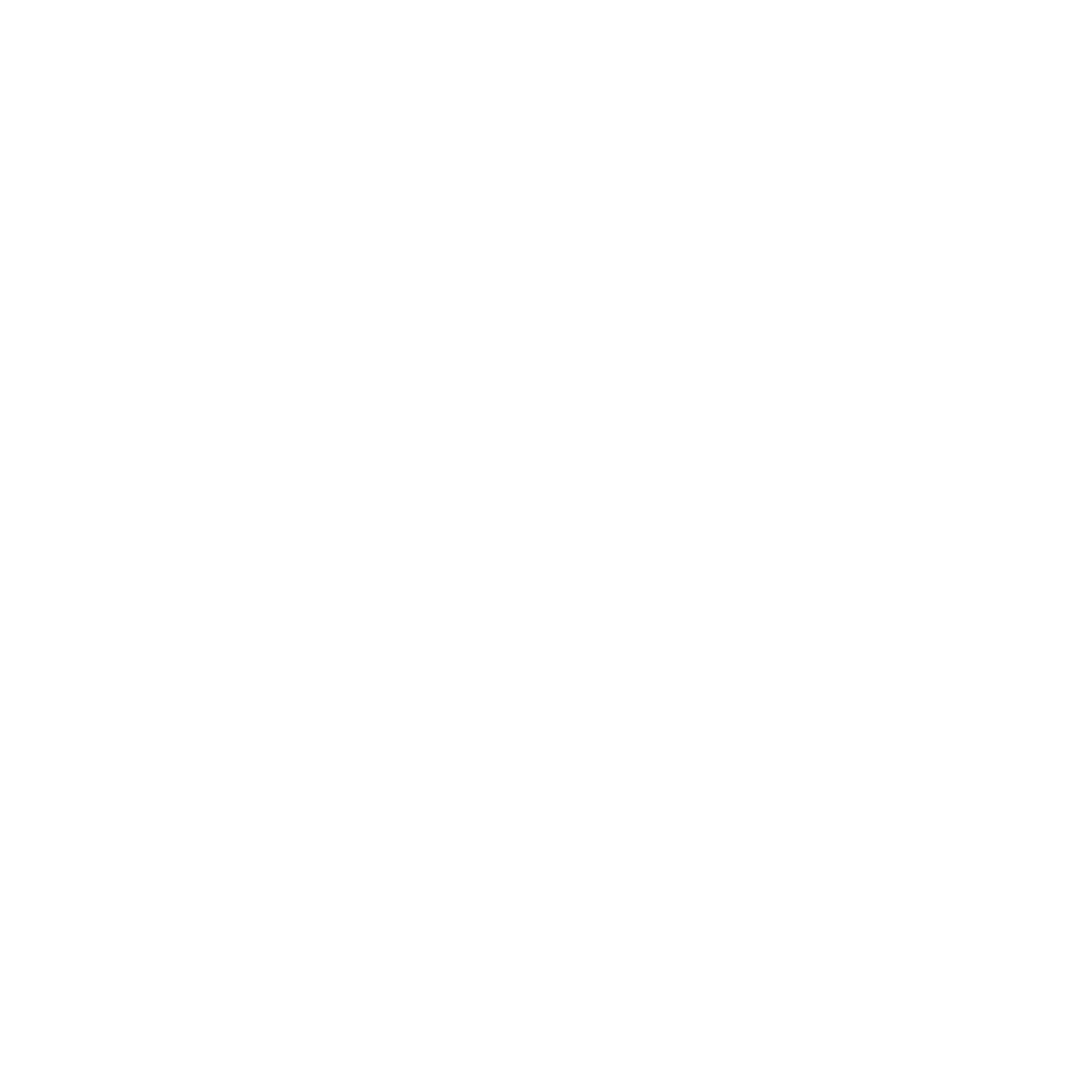 Holden Oversoul